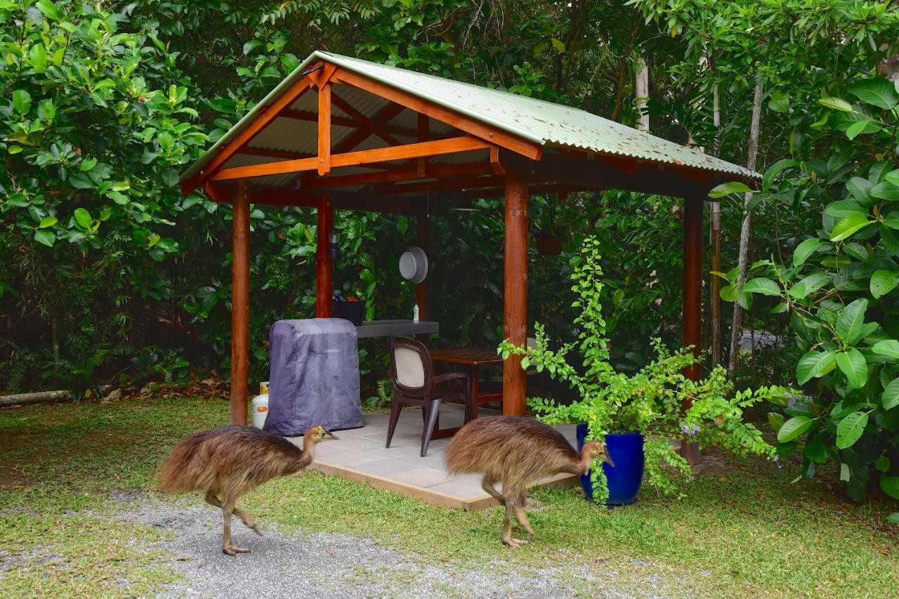 Thornton Beach Bungalows Daintree Cape Tribulation Exterior foto